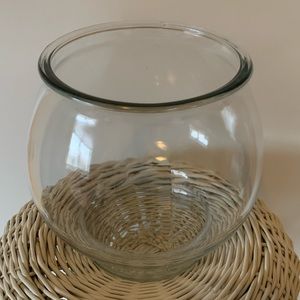 Clear Wide GlassTerrarium Bowl 8" Tall x 6.5" Opening